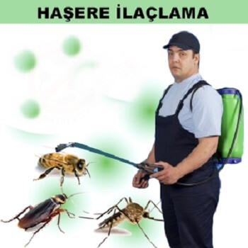 Cide Böcek İlaçlama